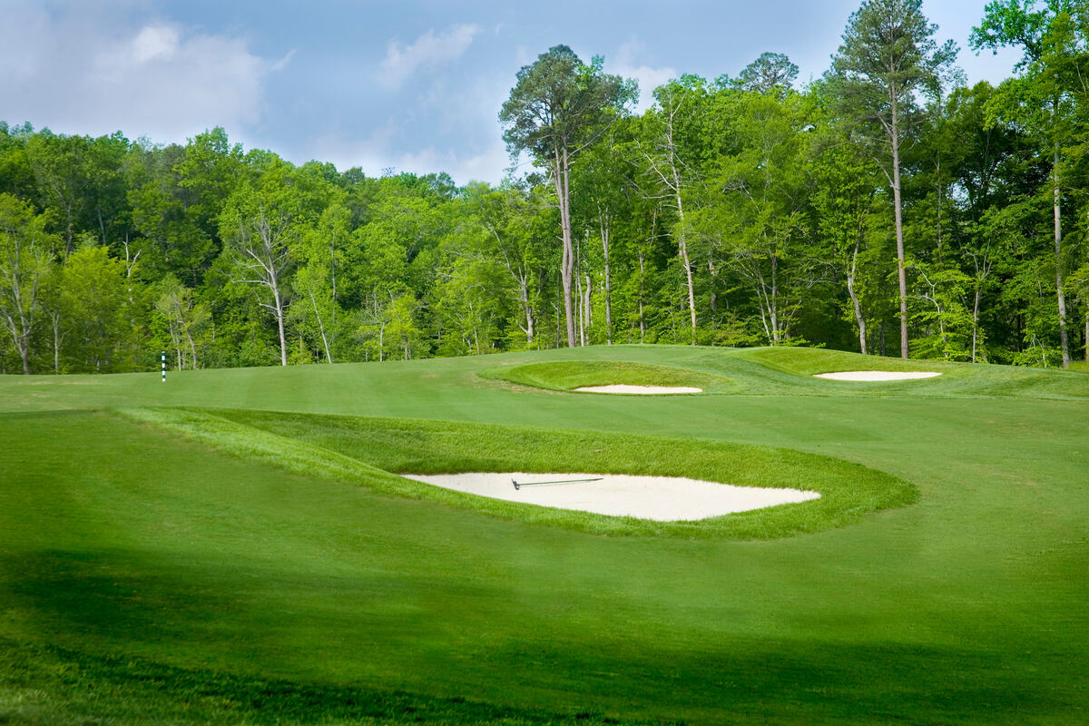 Rolling fairway lined with trees in Williamsburg, Virginia